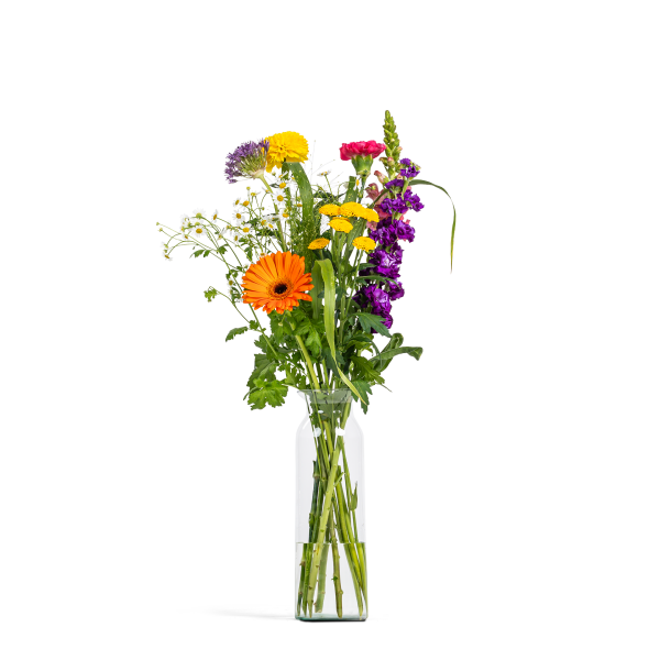 Fleurige Vaasverrassing  Groot
