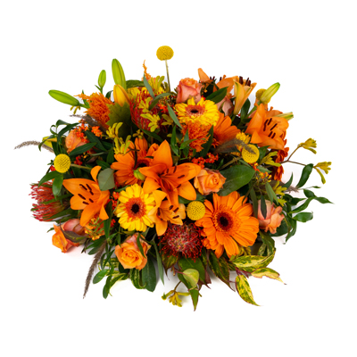 biedermeier Zinnia Biedermeier 60cm