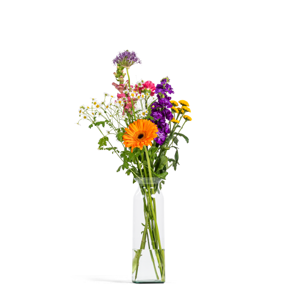 Fleurige Vaasverrassing  Middel