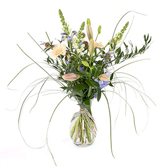 Plukboeket Davina Super