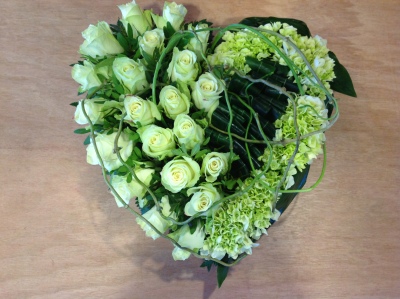 Hart 7 +/- 60 cm.
