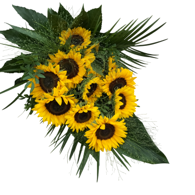 Zonnebloem Middel
