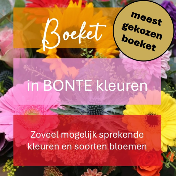 Gemengd boeket - bonte kleuren  
