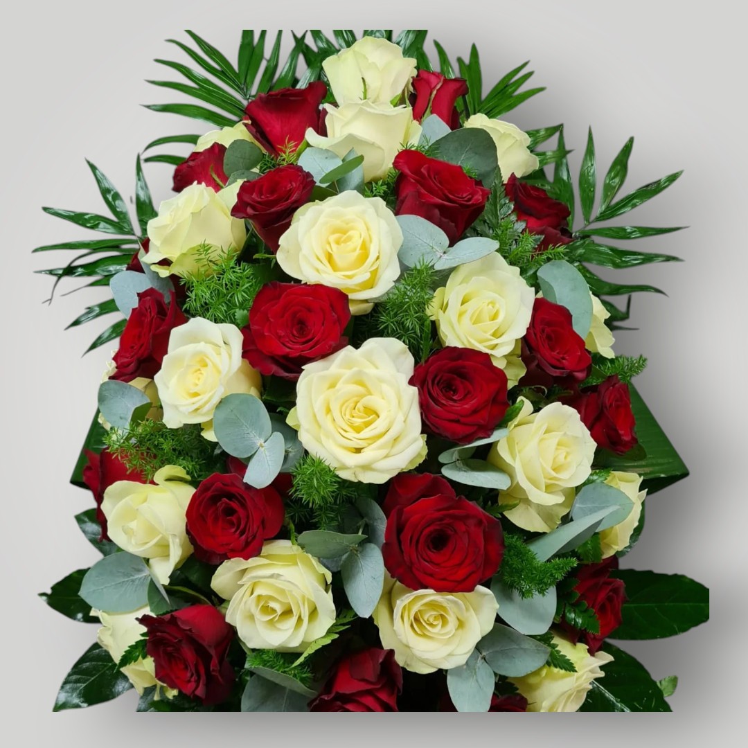 druppel rode & witte rozen Langwerpig 50cm