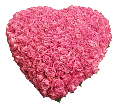 Hart roze 55cm