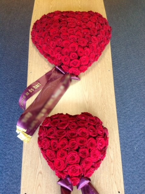 Hart 33 +/- 60 cm.