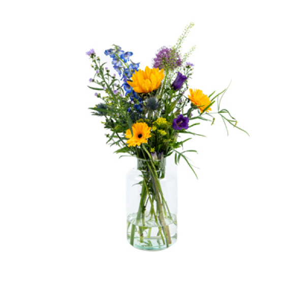Plukboeket Flo Klein