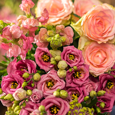 keuze Smitjes Roze tinten Standaard