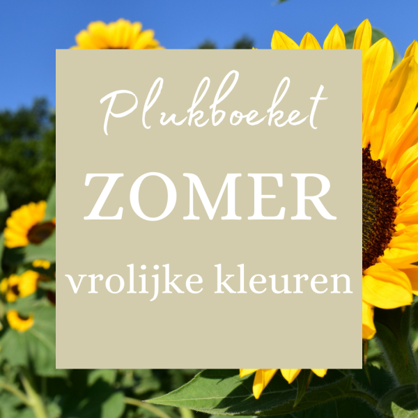 Plukboeket zomers - vrolijke kleuren   