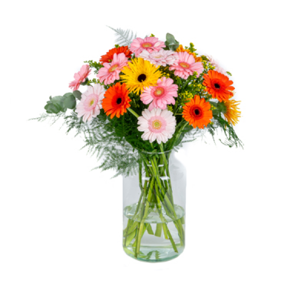 Zomerse gerbera's Middel