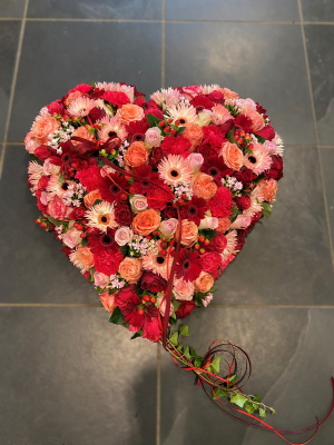 Hart 38 +/- 45 cm.