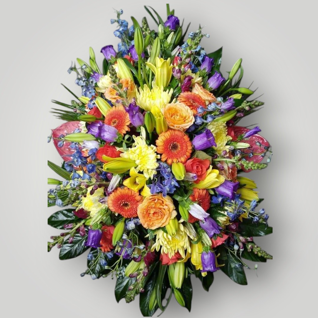 druppel bonte kleuren Langwerpig 50cm