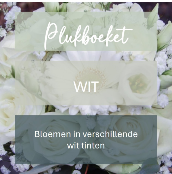 Plukboeket - witte bloemen  