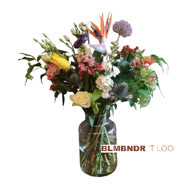 Plukboeket Heiloo Super