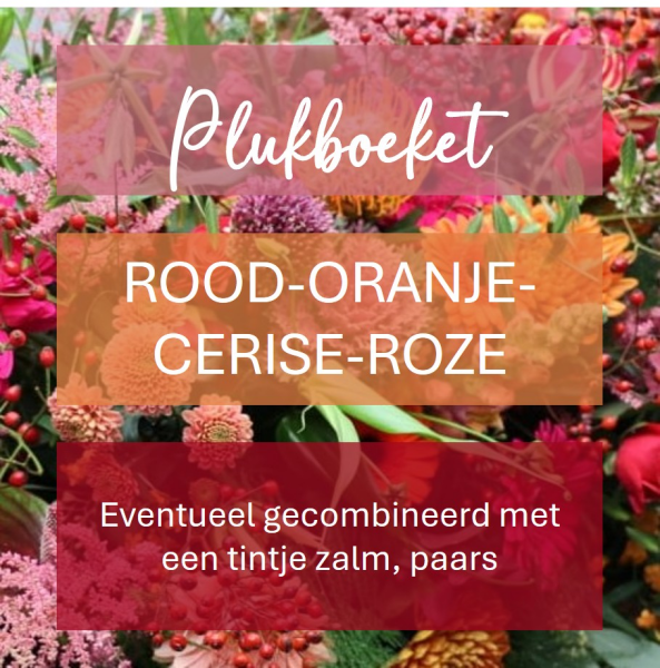 Plukboeket - rode & oranje & cerise & roze bloemen  