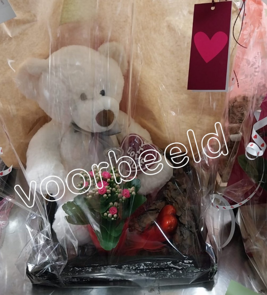 Cadeaupakket  Groot