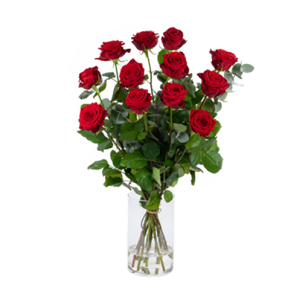 Rode Rozen met groen 12 stuks met groen