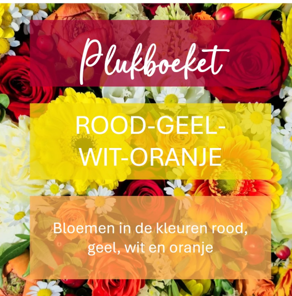 Plukboeket - rode & gele & witte & oranje bloemen  