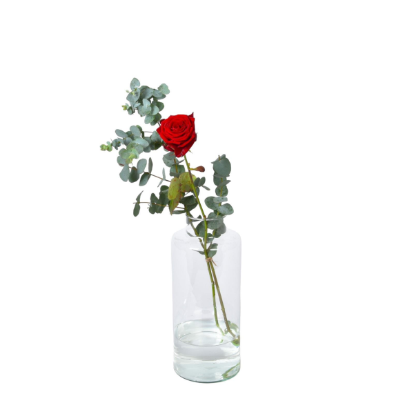 Boeket Rosa 1 stuk met groen