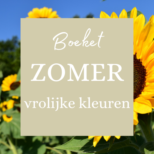 Gemengd zomer boeket - vrolijke kleuren  