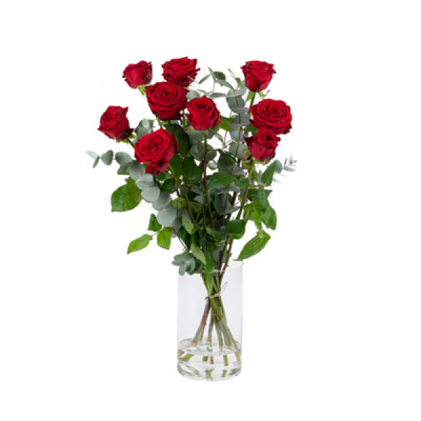 Rode Rozen met groen 9 stuks met groen