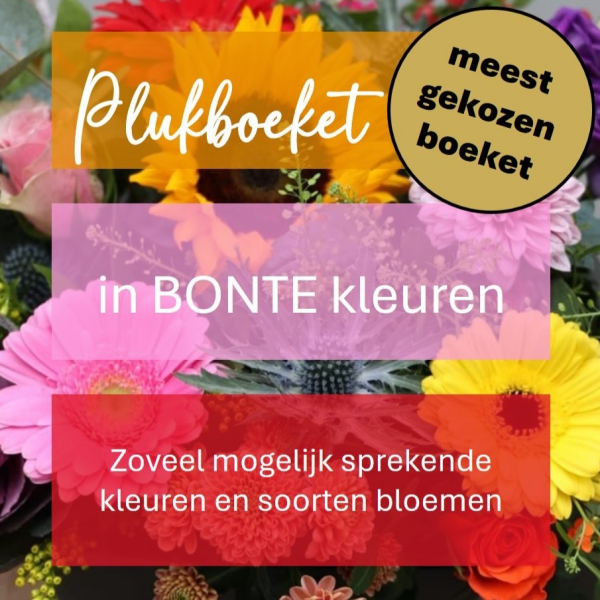 Plukboeket - bonte kleuren  