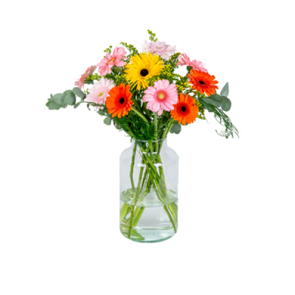 Zomerse gerbera's Klein