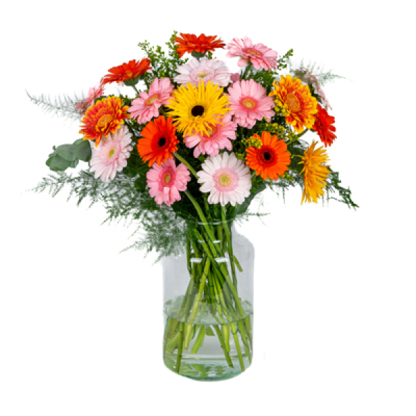 Zomerse gerbera's Groot
