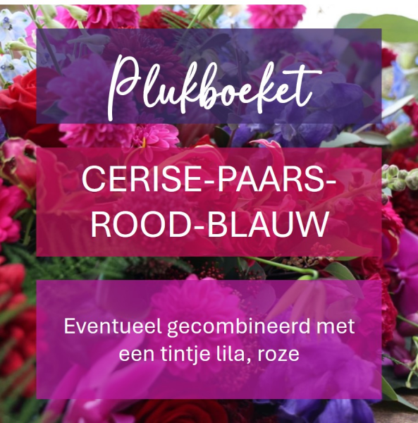 Plukboeket - cerise & paarse & rode & blauwe bloemen  