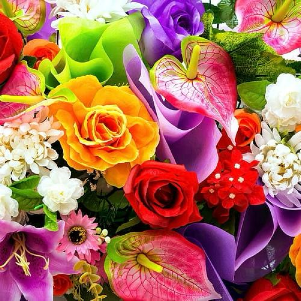 زهور ملونة جميلة الموارد