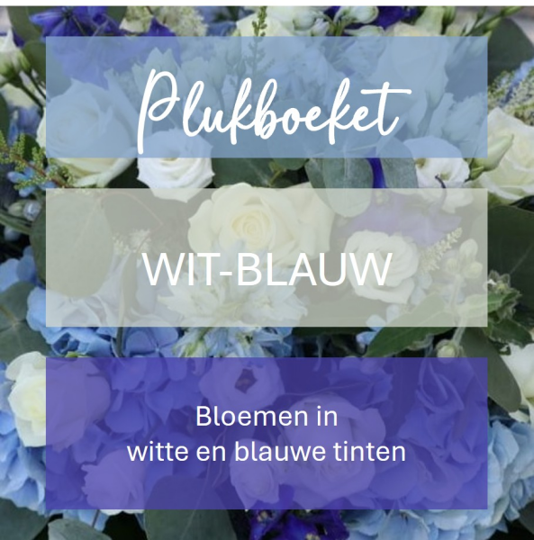 Plukboeket - witte en blauwe bloemen  