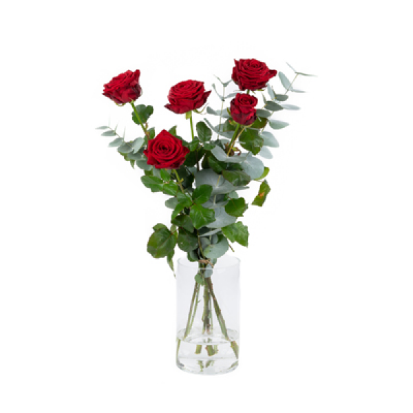 Rode Rozen met groen 5 stuks met groen