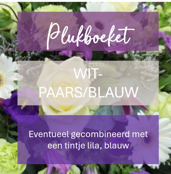 Plukboeket - witte & blauw/paarse bloemen  