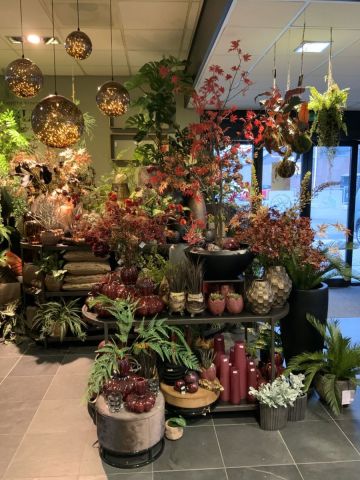 PTMD interieuraccessoires in showroom Susteren