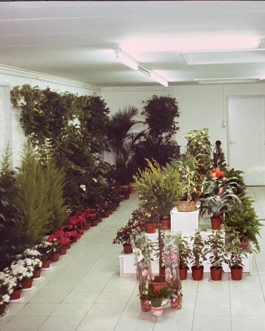 Plantenafdeling in Oost-Souburg rond 1991